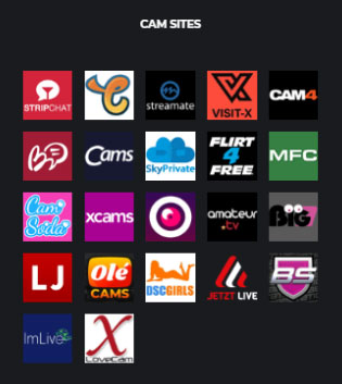 How to Navigate Lemoncams with Ease and Find the Right Cam Performers